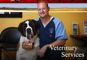 vet-services