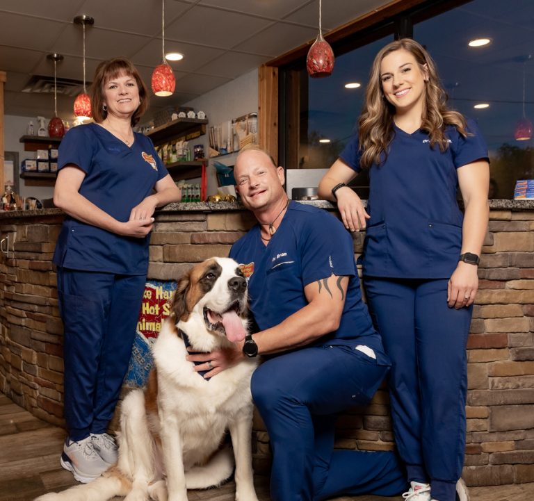 New Clients in Hot Springs, AR Hot Springs Animal Hospital